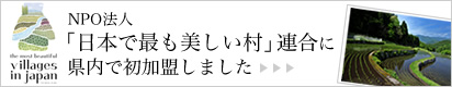 NPO�@�l�u���{�ōł����������v�A���Ɍ����ŏ��������܂���