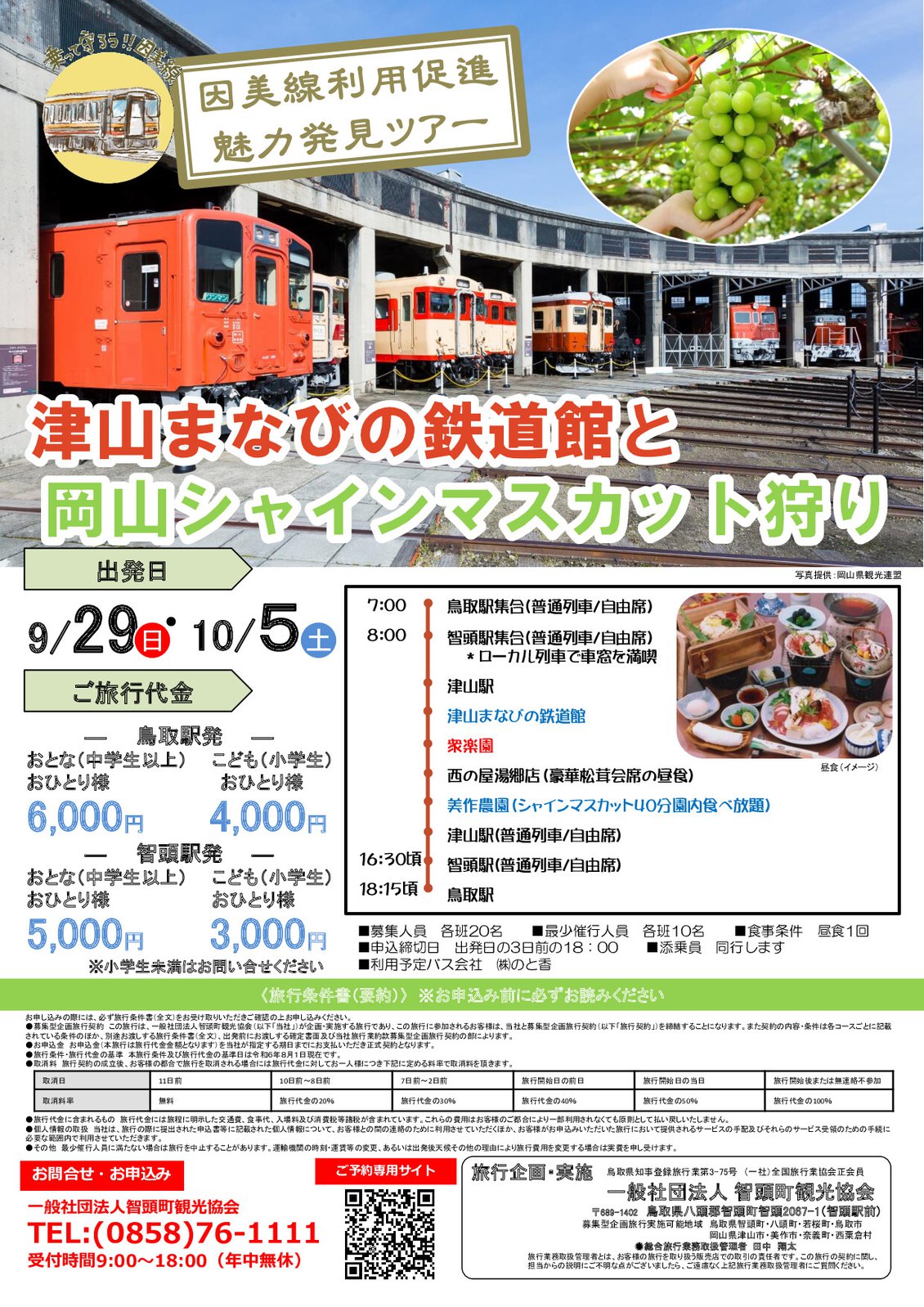 因美線 駅カード 全20種 コンプリート賞 JR西日本 鳥取駅 郡家駅 智頭駅 津山駅 - 鉄道